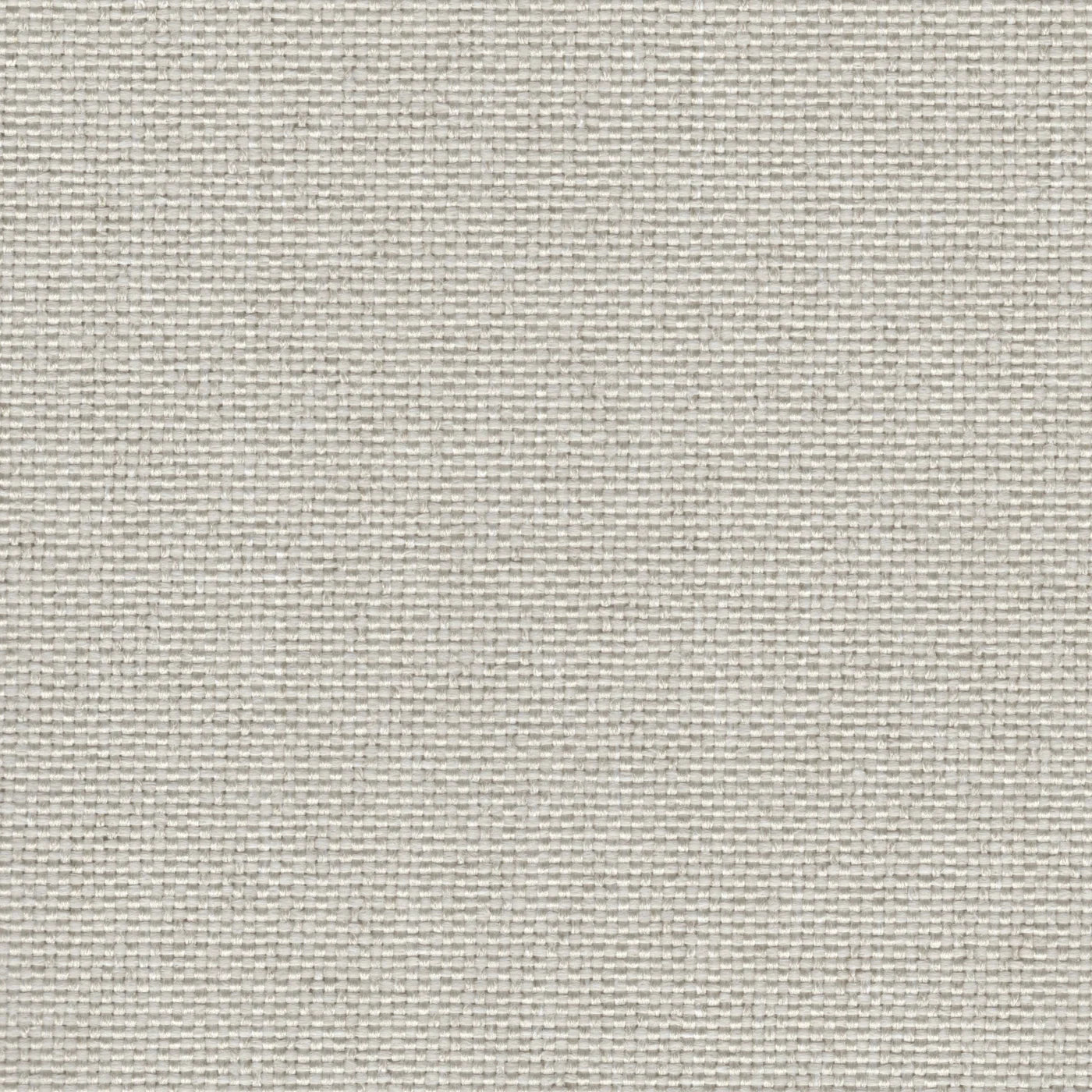 REVOLUTION RUMBA CANVAS
